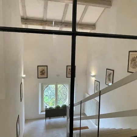 Fernanda *